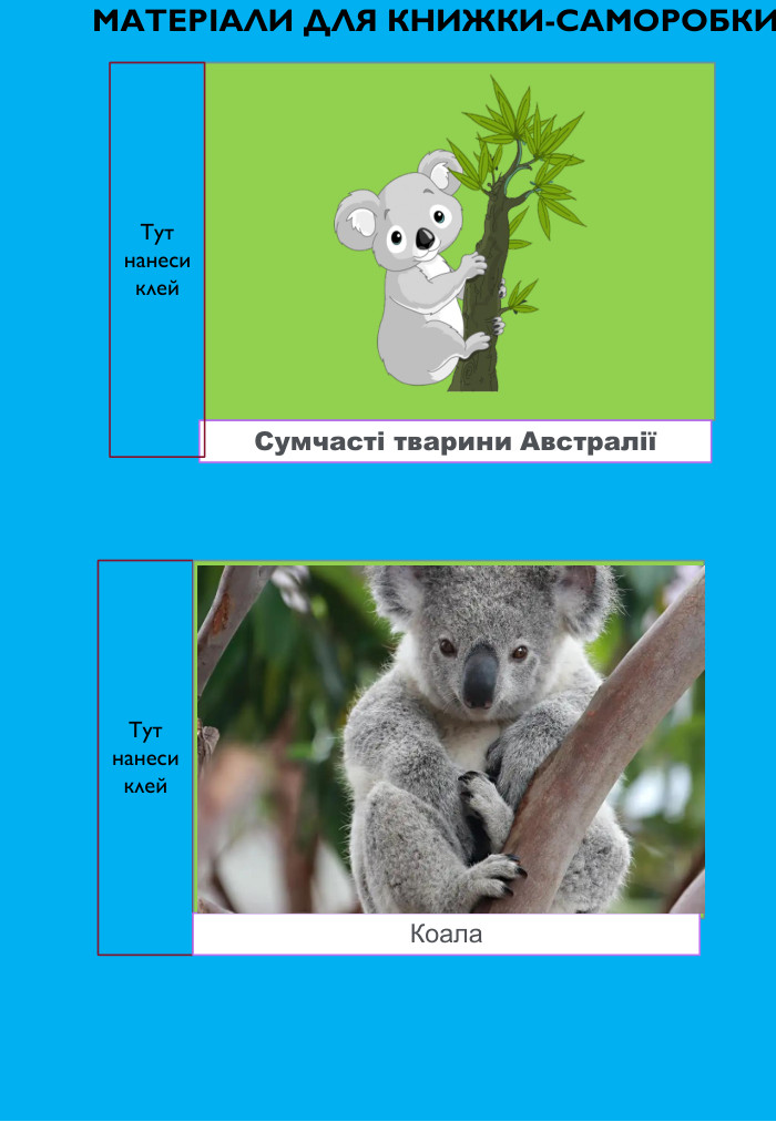 Тут нанеси клей. Сумчасті тварини АвстраліїТут нанеси клей. Коала. МАТЕРІАЛИ ДЛЯ КНИЖКИ-САМОРОБКИ