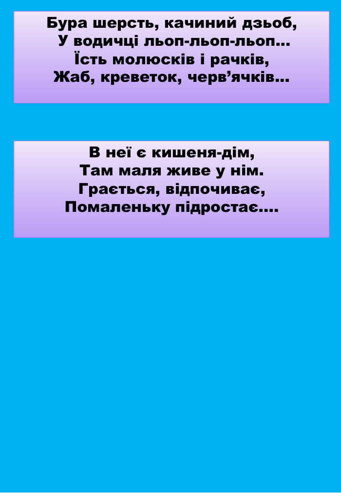 Бура шерсть, качиний дзьоб, У водичці льоп-льоп-льоп...Їсть молюсків і рачків,Жаб, креветок, черв’ячків... В неї є кишеня-дім,Там маля живе у нім. Грається, відпочиває,Помаленьку підростає....