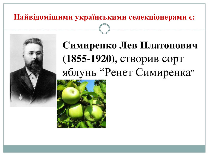 Найвідомішими українськими селекціонерами є: Симиренко Лев Платонович (1855-1920), створив сорт яблунь “Ренет Симиренка”