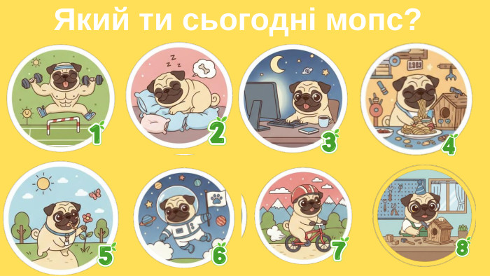 Який ти сьогодні мопс?
