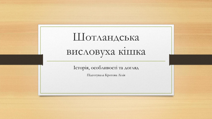 Шотландська висловуха кішкаІсторія, особливості та догляд. Підготувала Кротова Лілія