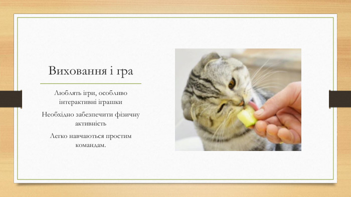 Виховання і гра. Люблять ігри, особливо інтерактивні іграшки. Необхідно забезпечити фізичну активність. Легко навчаються простим командам.