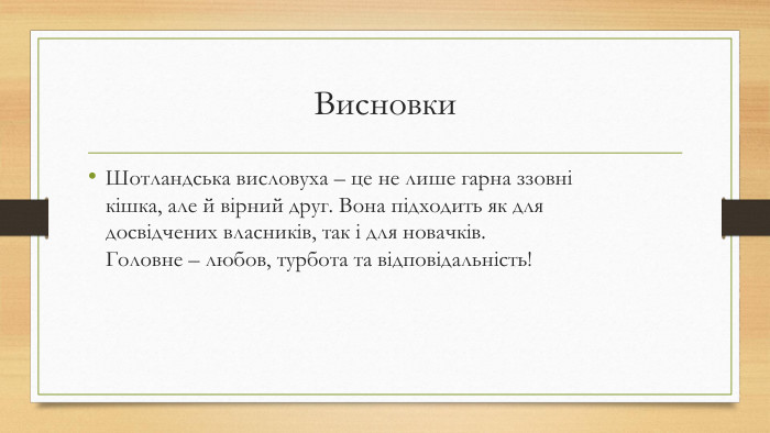 Висновки. Шотландська висловуха – це не лише гарна ззовні кішка, але й вірний друг. Вона підходить як для досвідчених власників, так і для новачків. Головне – любов, турбота та відповідальність!