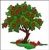 apple-tree.jpg
