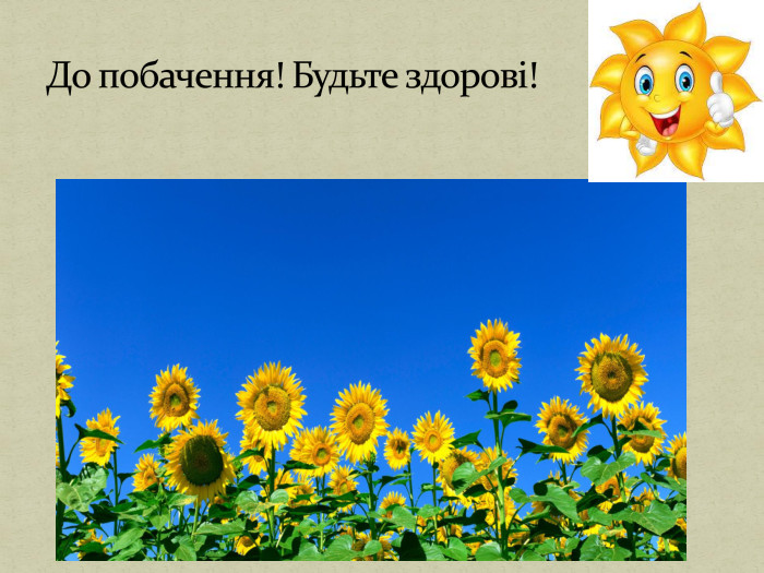 До побачення! Будьте здорові!