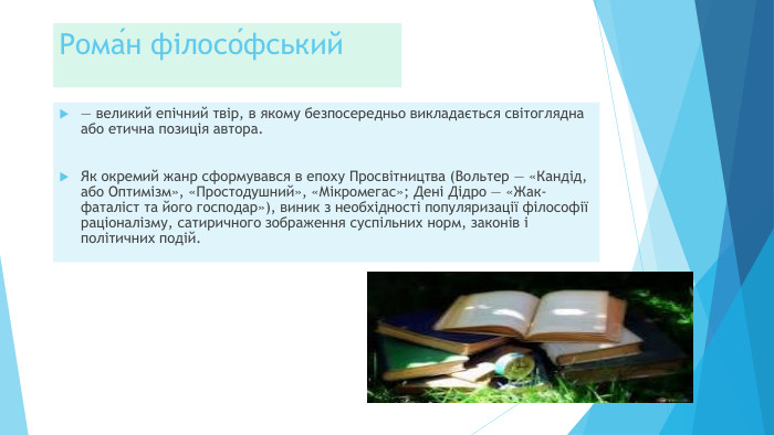 Рома́н філосо́фський — великий епічний твір, в якому безпосередньо викладається світоглядна або етична позиція автора. Як окремий жанр сформувався в епоху Просвітництва (Вольтер — «Кандід, або Оптимізм», «Простодушний», «Мікромегас»; Дені Дідро — «Жак-фаталіст та його господар»), виник з необхідності популяризації філософії раціоналізму, сатиричного зображення суспільних норм, законів і політичних подій.