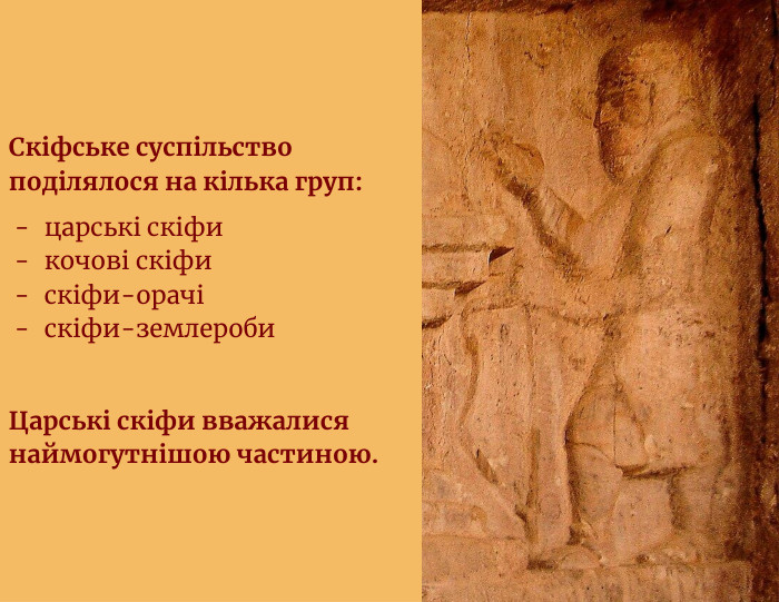 Скіфське суспільство поділялося на кілька груп:царські скіфикочові скіфискіфи-орачіскіфи-землероби. Царські скіфи вважалися наймогутнішою частиною.