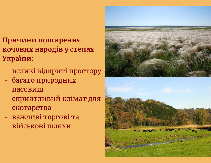 Причини поширення кочових народів у степах України:великі відкриті просторубагато природних пасовищсприятливий клімат для скотарстваважливі торгові та військові шляхи