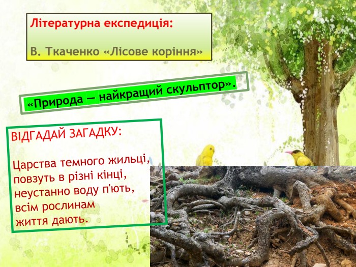 Літературна експедиція:   В. Ткаченко «Лісове коріння» ВІДГАДАЙ ЗАГАДКУ:  Царства темного жильці, повзуть в різні кінці,  неустанно воду п'ють,  всім рослинам  життя дають. 