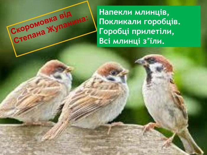 Скоромовка від Степана Жупанина:   Це фото; автор: Невідомий автор; ліцензія: CC BY-SA Напекли млинців, Покликали горобців. Горобці прилетіли, Всі млинці з’їли. 
