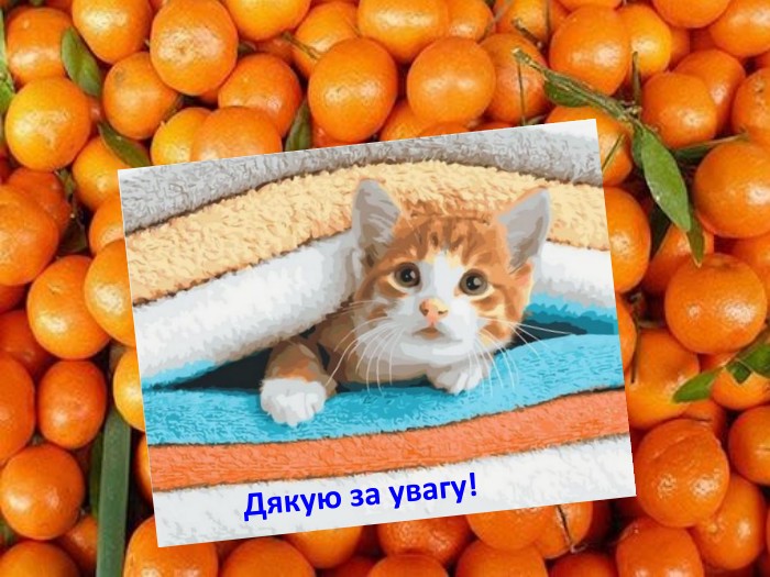 Дякую за увагу! 