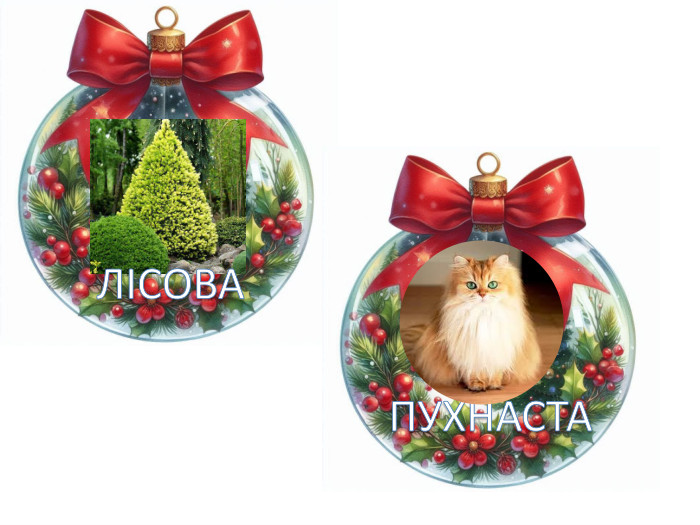 ЛІСОВАПУХНАСТА