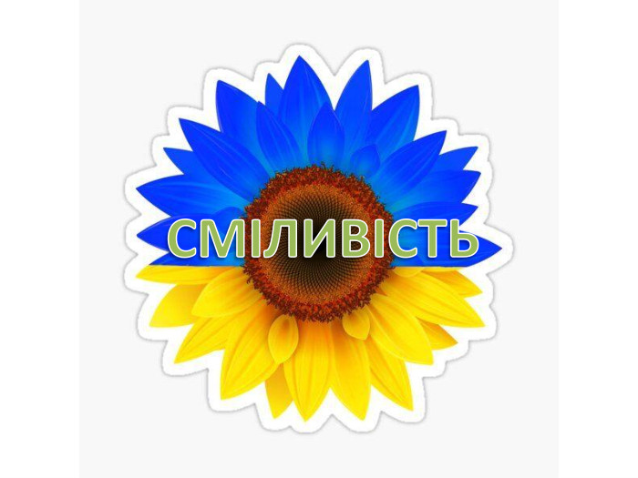 СМІЛИВІСТЬ