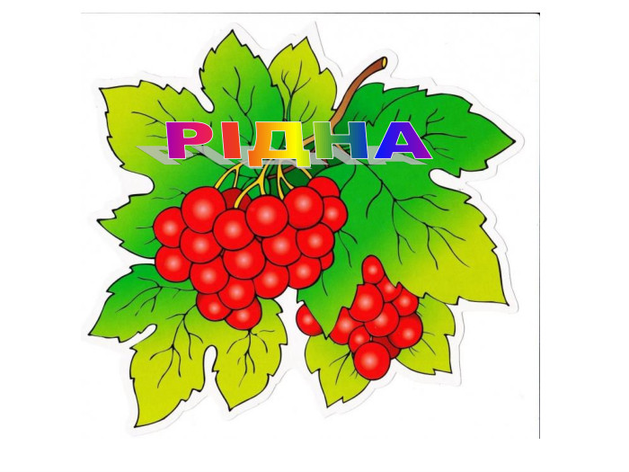 РІДНА
