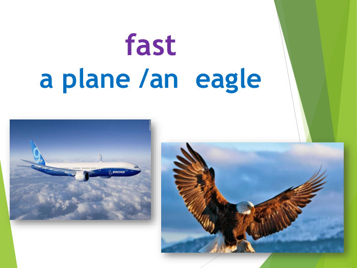 fasta plane /an eagle