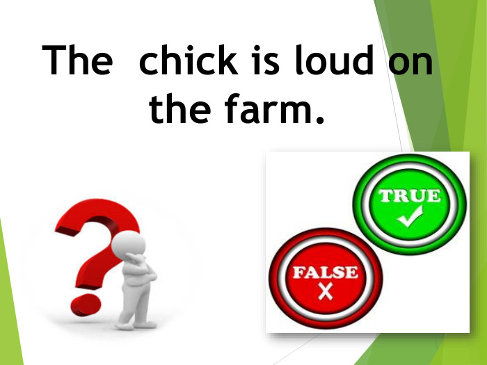 The chick is loud on the farm.