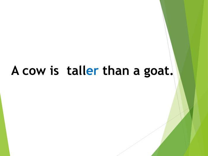 A cow is taller than a goat.