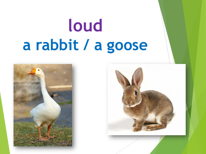 louda rabbit / a goose