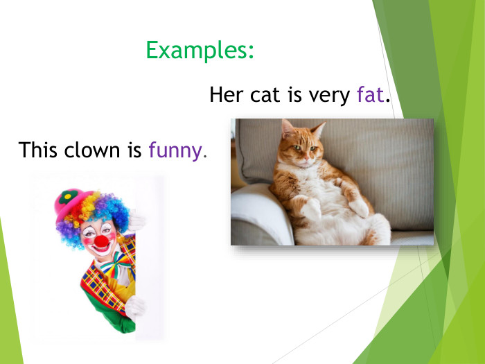 Examples: This clown is funny. Her cat is very fat.