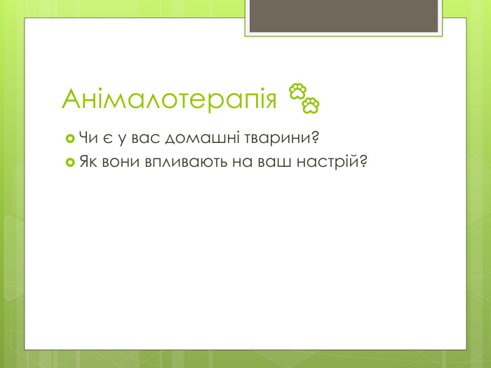 Анімалотерапія 🐾Чи є у вас домашні тварини?Як вони впливають на ваш настрій?