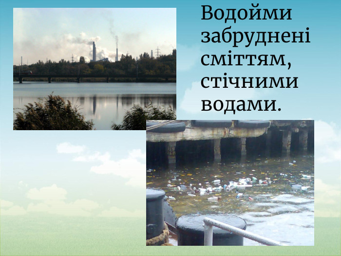 Водойми забруднені сміттям, стічними водами.