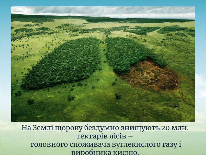 На Землі щороку бездумно знищують 20 млн. гектарів лісів – головного споживача вуглекислого газу і виробника кисню. Знай! 20 кг макулатури зберігають одне дерево!