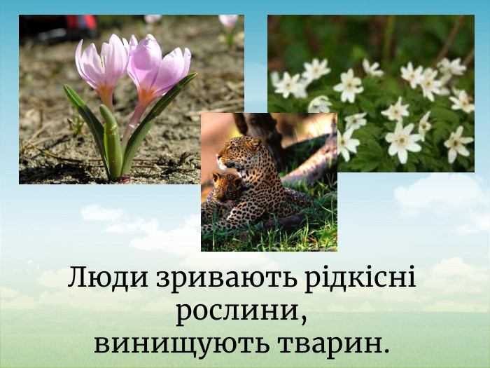 Люди зривають рідкісні рослини, винищують тварин.