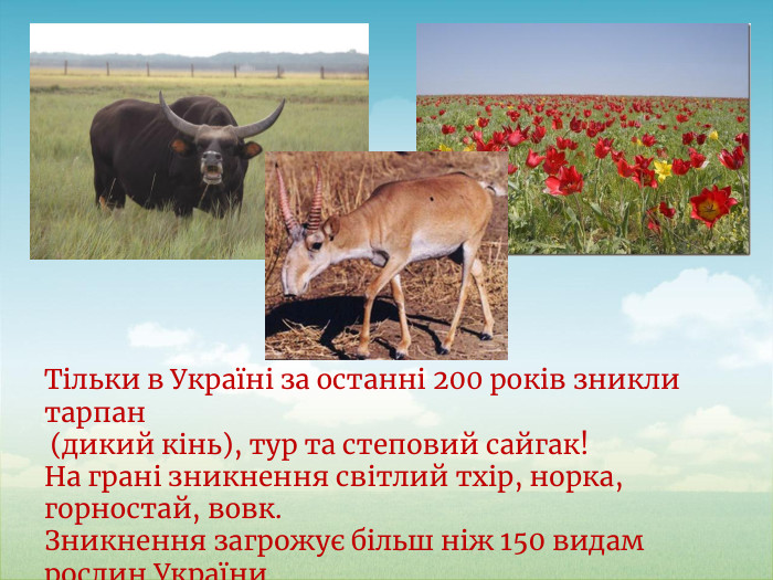 Тільки в Україні за останні 200 років зникли тарпан (дикий кінь), тур та степовий сайгак! На грані зникнення світлий тхір, норка, горностай, вовк. Зникнення загрожує більш ніж 150 видам рослин України.