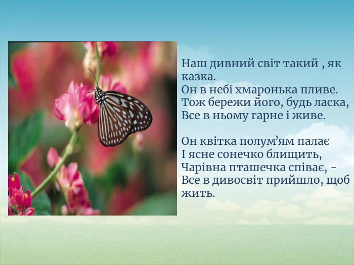 Наш дивний світ такий , як казка. Он в небі хмаронька пливе. Тож бережи його, будь ласка,Все в ньому гарне і живе. Он квітка полумʼям палаєІ ясне сонечко блищить,Чарівна пташечка співає, - Все в дивосвіт прийшло, щоб жить.