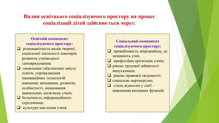 Вплив освітнього соціалізуючого простору на процес соціалізації дітей здійснюється через: Освітній компонент соціалізуючого простору: різноманітність видів творчої, соціальної діяльності школярів розвиток учнівського самоврядування; оновлення (збагачення) змісту освіти, упровадження інноваційних технологій навчання, виховання, розвитку особистості, оцінювання навчальних досягнень учнів; безпечність інформаційного середовища; культура мислення учнів. Соціальний компонент соціалізуючого простору: привабливість мікрорайону, де мешкають учні, професійна орієнтація учнів; рівень трудової зайнятості випускників; рівень правової свідомості; соціальне партнерство; стиль відносин у сім'ї -виконання виховних функцій.