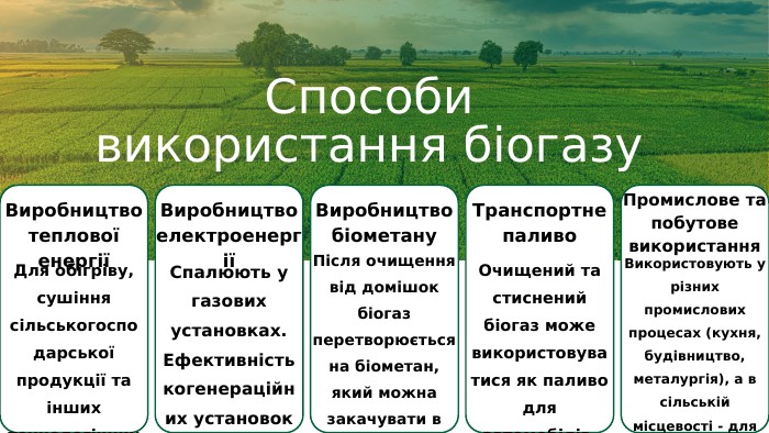 Способи використання біогазу. Для обігріву, сушіння сільськогосподарської продукції та інших технологічних потреб. Виробництво теплової енергіїСпалюють у газових установках. Ефективність когенераційних установок - 80-90%. Виробництво електроенергіїПісля очищення від домішок біогаз перетворюється на біометан, який можна закачувати в магістральні газопроводи. Виробництво біометану. Очищений та стиснений біогаз може використовуватися як паливо для автомобілів. Транспортне паливо. Використовують у різних промислових процесах (кухня, будівництво, металургія), а в сільській місцевості - для приготування їжі та обігріву домогосподарств. Промислове та побутове використання