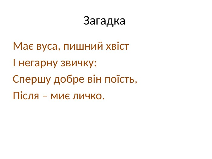 Загадка Має вуса, пишний хвістІ негарну звичку: Спершу добре він поїсть,Після – миє личко.