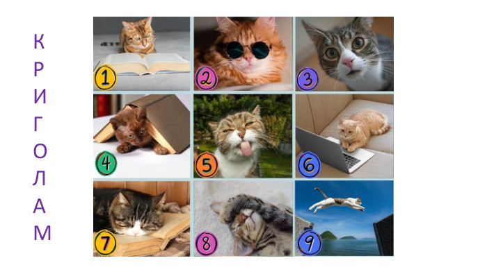 К Р И Г О Л А М 