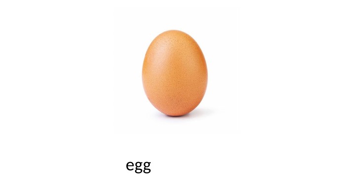  egg