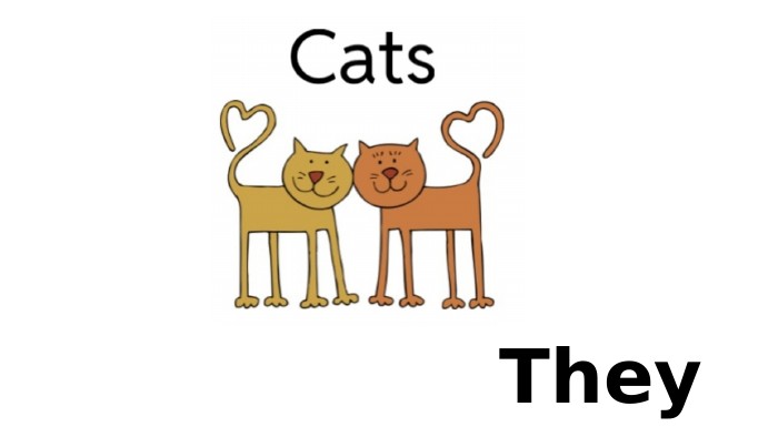  They