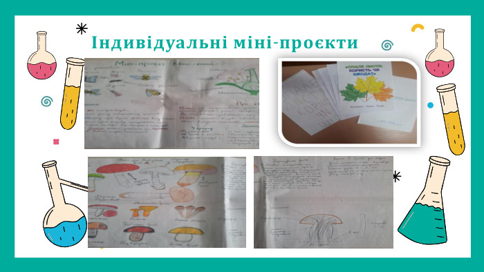 Індивідуальні міні-проєкти 