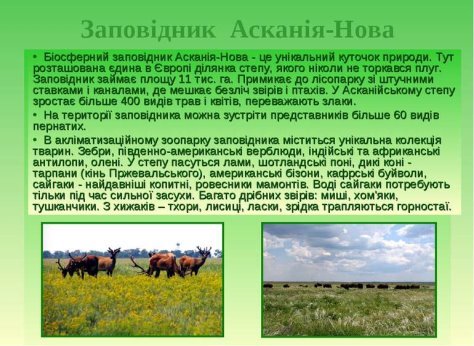 Заповідник Асканія-Нова - презентація з природознавства
