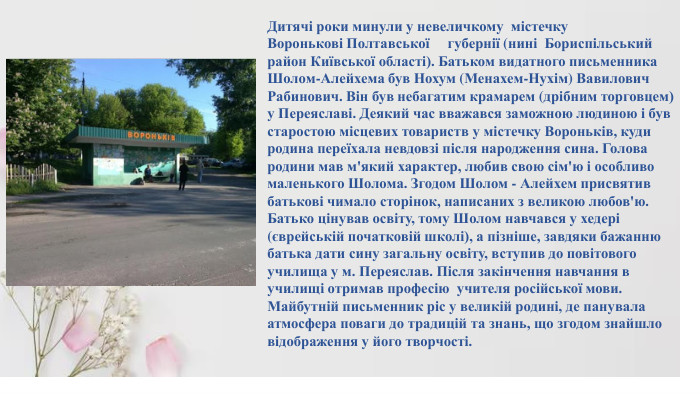 Дитячі роки минули у невеличкому містечку Воронькові Полтавської губернії (нині Бориспільський район Київської області). Батьком видатного письменника Шолом-Алейхема був Нохум (Менахем-Нухім) Вавилович Рабинович. Він був небагатим крамарем (дрібним торговцем) у Переяславі. Деякий час вважався заможною людиною і був старостою місцевих товариств у містечку Вороньків, куди родина переїхала невдовзі після народження сина. Голова родини мав м'який характер, любив свою сім'ю і особливо маленького Шолома. Згодом Шолом - Алейхем присвятив батькові чимало сторінок, написаних з великою любов'ю. Батько цінував освіту, тому Шолом навчався у хедері (єврейській початковій школі), а пізніше, завдяки бажанню батька дати сину загальну освіту, вступив до повітового училища у м. Переяслав. Після закінчення навчання в училищі отримав професію  учителя російської мови. Майбутній письменник ріс у великій родині, де панувала атмосфера поваги до традицій та знань, що згодом знайшло відображення у його творчості.