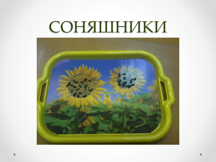 СОНЯШНИКИ