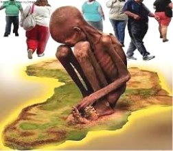 Результат пошуку зображень за запитом "голод африка"