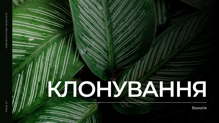 КЛОНУВАННЯбіологія. PRESENTATION TEMPLATEPAGE 01