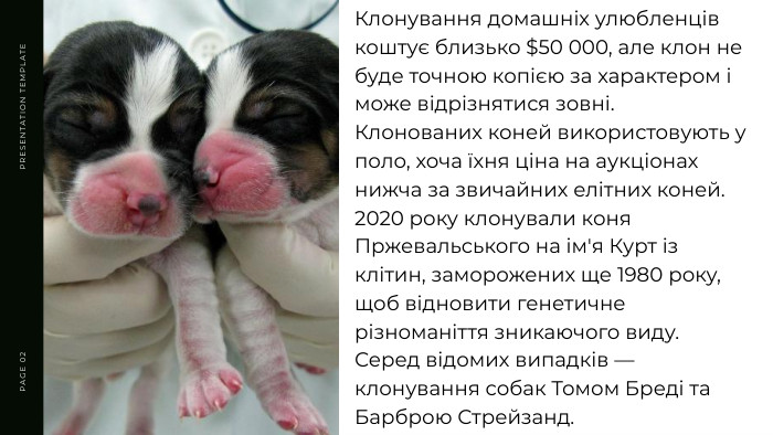 PRESENTATION TEMPLATEPAGE 02 Клонування домашніх улюбленців коштує близько $50 000, але клон не буде точною копією за характером і може відрізнятися зовні. Клонованих коней використовують у поло, хоча їхня ціна на аукціонах нижча за звичайних елітних коней. 2020 року клонували коня Пржевальського на ім'я Курт із клітин, заморожених ще 1980 року, щоб відновити генетичне різноманіття зникаючого виду. Серед відомих випадків — клонування собак Томом Бреді та Барброю Стрейзанд.