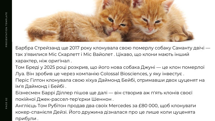 PRESENTATION TEMPLATEPAGE 02 Барбра Стрейзанд ще 2017 року клонувала свою померлу собаку Саманту двічі — так з'явилися Міс Скарлетт і Міс Вайолет . Цікаво, що клони мають інший характер, ніж оригінал . Том Бреді у 2025 році розкрив, що його нова собака Джуні — це клон померлої Луа. Він зробив це через компанію Colossal Biosciences, у яку інвестує . Періс Гілтон клонувала свою хіхуа Даймонд Бейбі, отримавши двох цуценят на ім'я Даймонд і Бейбі . Бізнесмен Баррі Діллер пішов ще далі — він створив аж п'ять клонів своєї покійної Джек-рассел-тер'єрки Шеннон . Англієць Том Рубітон продав два своїх Mercedes за £80 000, щоб клонувати кокер-спанієля Дейзі. Його дружина дізналася про це лише коли цуценята прибули .