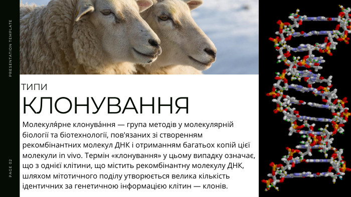 PRESENTATION TEMPLATEPAGE 02 ТИПИ КЛОНУВАННЯМолекуля́рне клонува́ння — група методів у молекулярній біології та біотехнології, пов'язаних зі створенням рекомбінантних молекул ДНК і отриманням багатьох копій цієї молекули in vivo. Термін «клонування» у цьому випадку означає, що з однієї клітини, що містить рекомбінантну молекулу ДНК, шляхом мітотичного поділу утворюється велика кількість ідентичних за генетичною інформацією клітин — клонів.