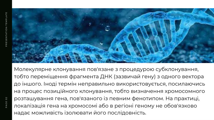 PRESENTATION TEMPLATEPAGE 02 Молекулярне клонування пов'язане з процедурою субклонування, тобто переміщення фрагмента ДНК (зазвичай гену) з одного вектора до іншого. Іноді термін неправильно використовується, посилаючись на процес позиційного клонування, тобто визначення хромосомного розташування гена, пов'язаного із певним фенотипом. На практиці, локалізація гена на хромосомі або в регіоні геному не обов'язково надає можливість ізолювати його послідовність.