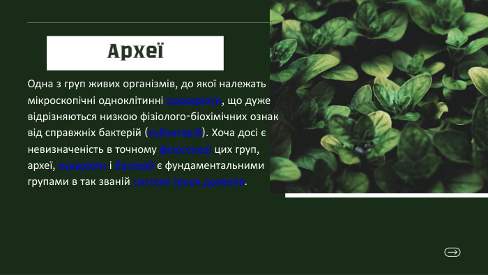 АрхеїОдна з груп живих організмів, до якої належать мікроскопічні одноклітинні прокаріоти, що дуже відрізняються низкою фізіолого-біохімічних ознак від справжніх бактерій (еубактерій). Хоча досі є невизначеність в точному філогенезі цих груп, археї, еукаріоти і бактерії є фундаментальними групами в так званій системі трьох доменів. 