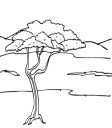 http://www.supercoloring.com/sites/default/files/styles/coloring_medium/public/cif/2013/04/acacia-tree-in-savanna-coloring-page.jpg