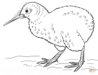 http://thedogbarkstop.com/wp-content/uploads/2017/06/kiwi-bird-coloring-page-kiwi-bird-coloring-page-free-printable-coloring-pages-gallery-coloring-ideas.png