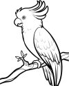 http://colorpages7.com/wp-content/uploads/2017/09/charmingbeautiful-free-bird-cockatoos-coloring-pages-for-kids.jpg