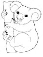 http://moi-raskraski.ru/images/raskraski/animals/koala/raskraski-zhivotnie-koala-12.jpg